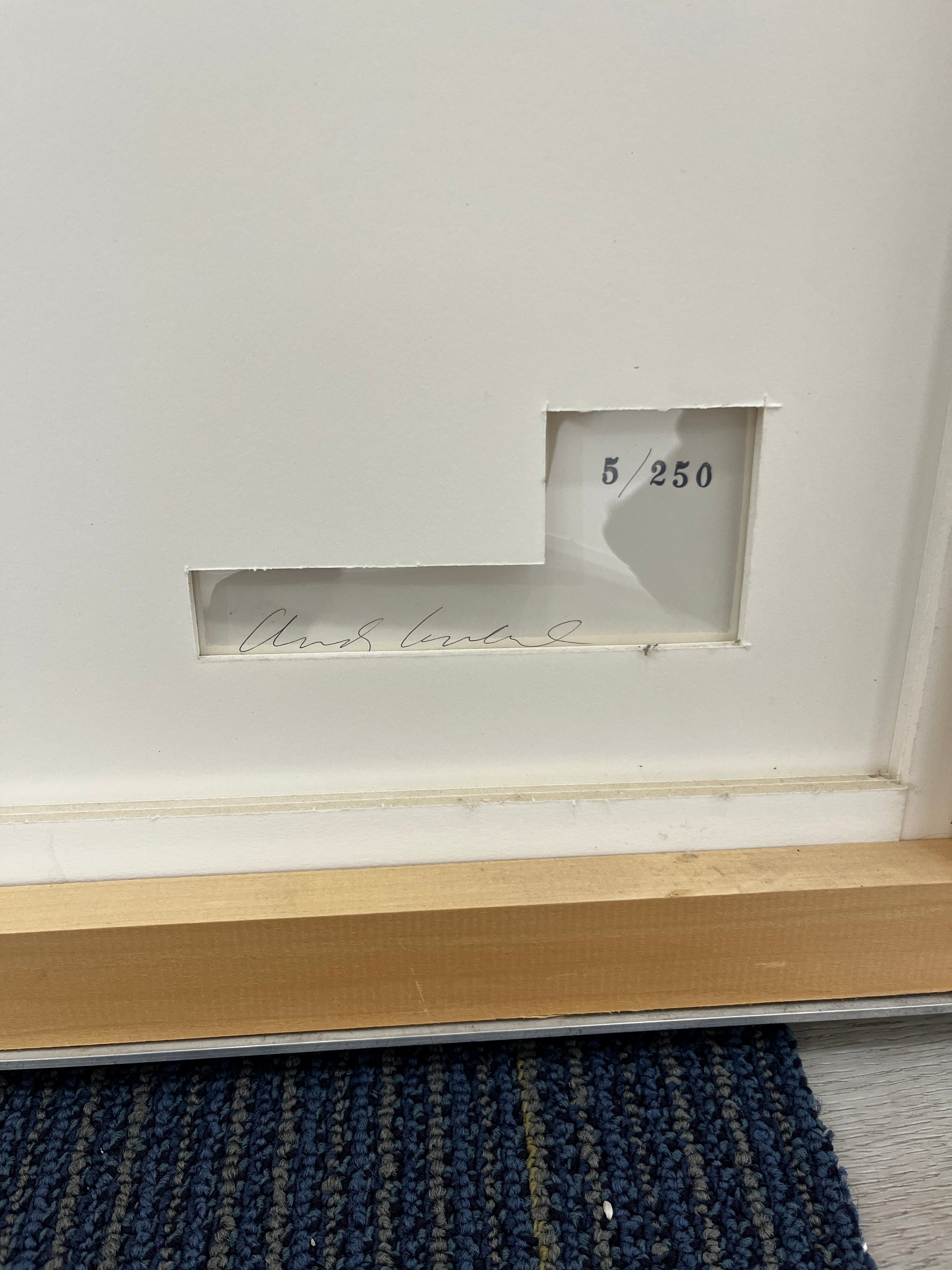 Campbell's Soup: Chicken Noodle, 1968